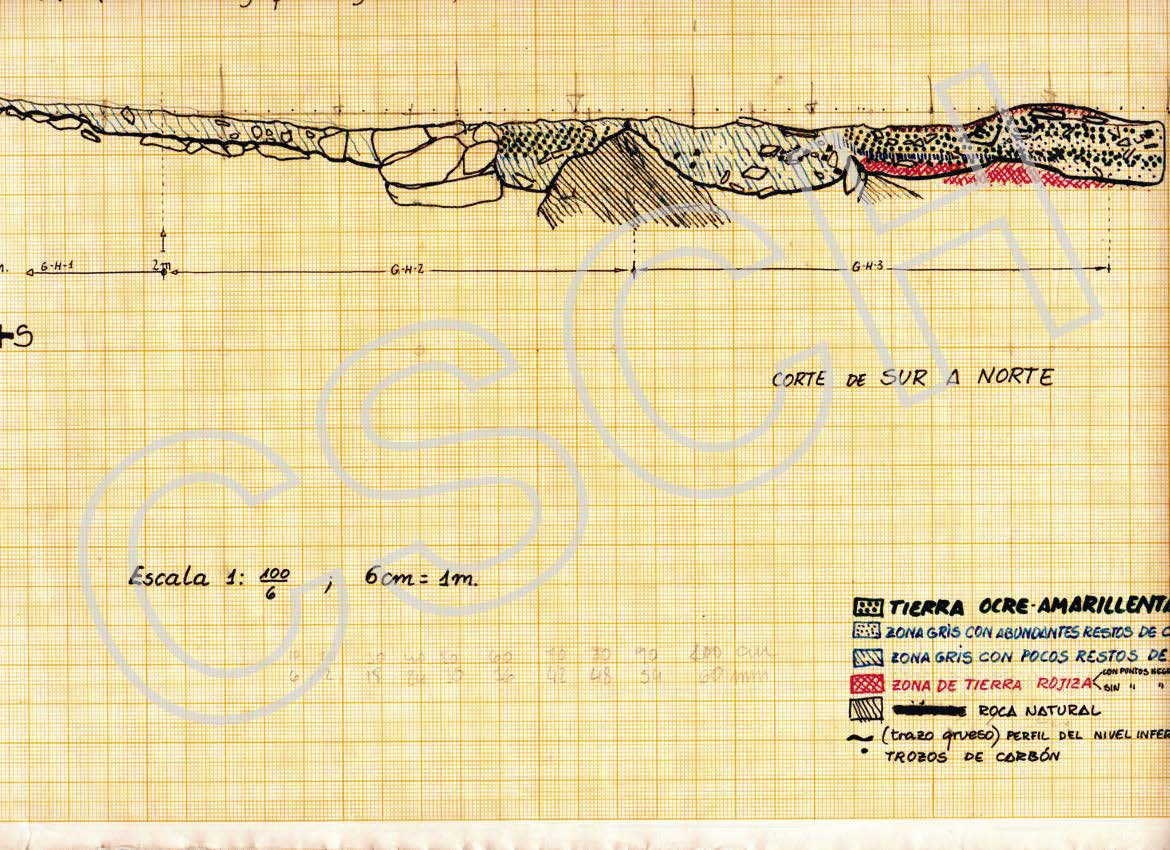 Sección estratigráfica S-N de la Estructura 9. 1981.S-N stratigraphic section of Structure 9 