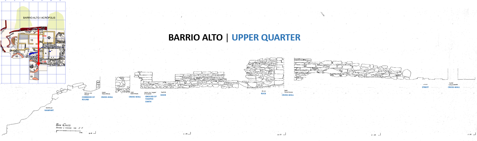 CORTE TRANSVERSAL CUADRÍCULAS C-19 A F-19 | CROSS SECTION C-19 TO F-19 GRIDS